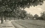 Brevkort med motiv mot Krogsfallsgården och dess loftbod i Linköpings Trädgårdsförening. Byggnaderna flyttades till platsen från Västra Eneby 1916. På den nya platsen kom anläggningen att fungera som museum.