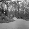 Den 18 maj 1965. Stadsträdgården