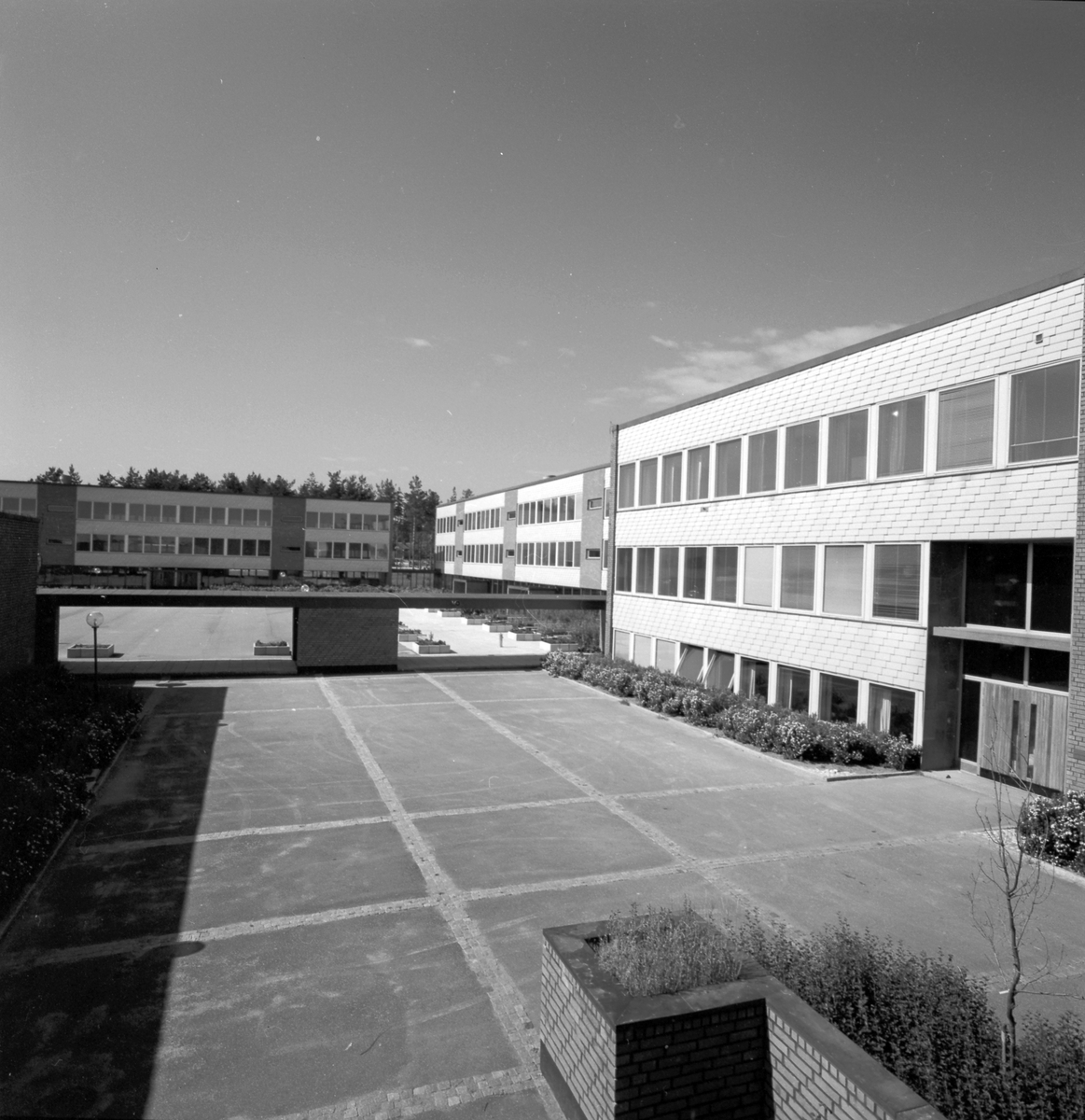 Den 19 augusti 1964. Centralskolan / Sofiedalsskolan. Södra Valbo.