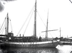 2 mastet fiskeskøyte i havn Reg. S.715T. - ni mann på dekk.