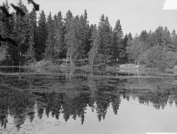Brønn og dam ved Reitgjerdet og på Charlottenlund
