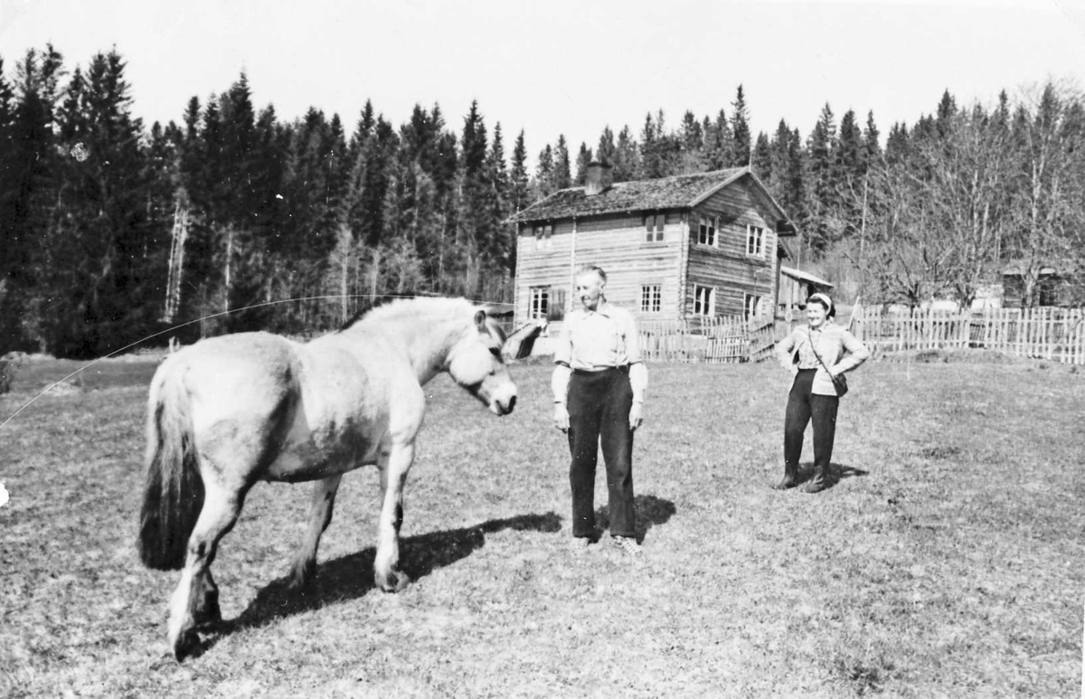 Personer og hest