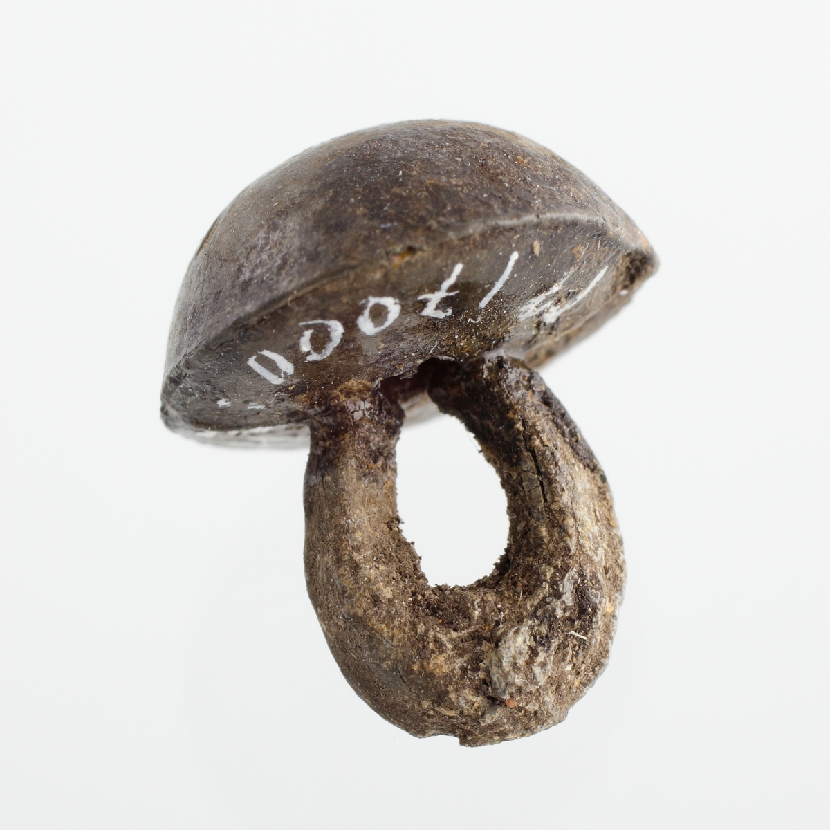 Halvsfärisk knapp av tenn med oval ögla.