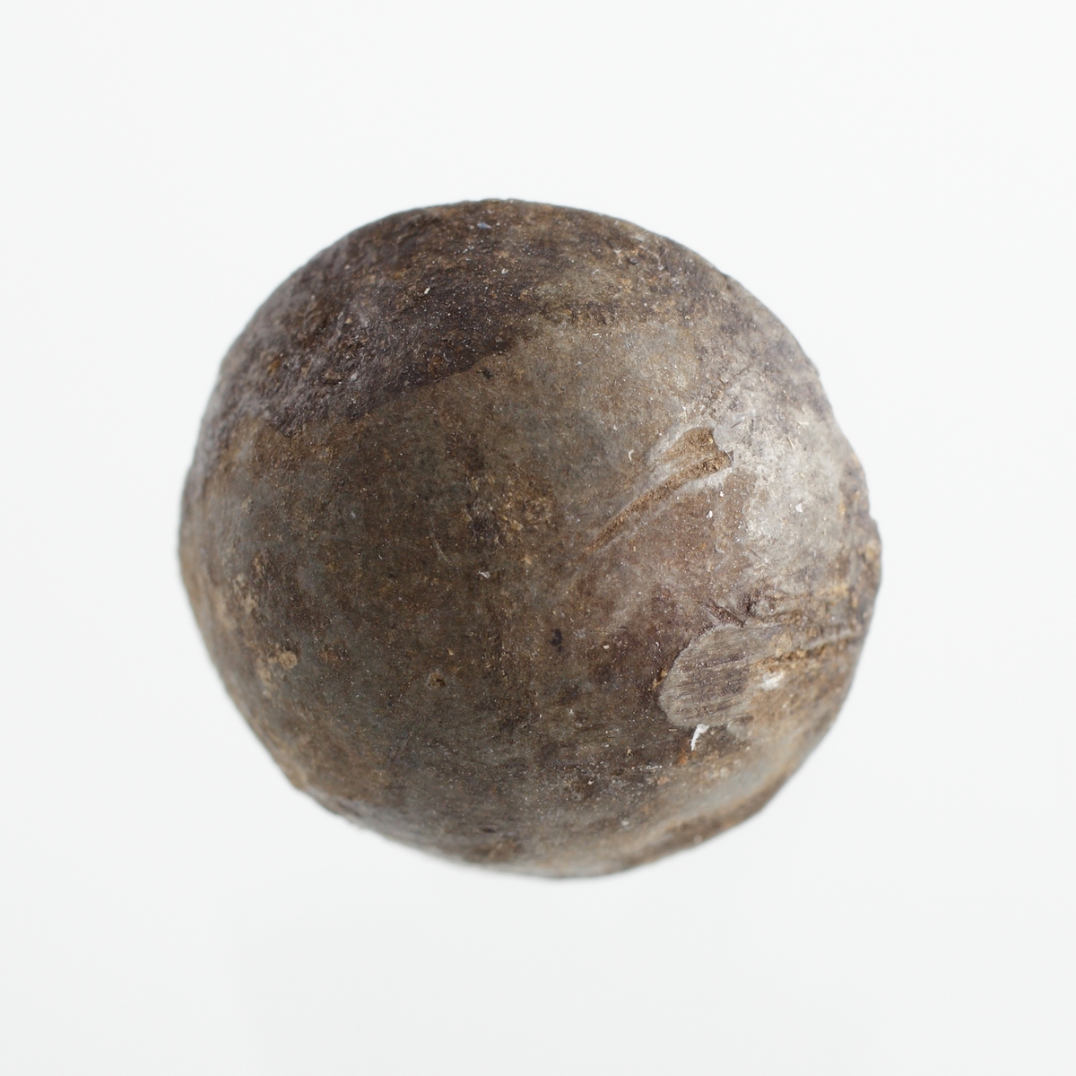 Halvsfärisk knapp av tenn med oval ögla.