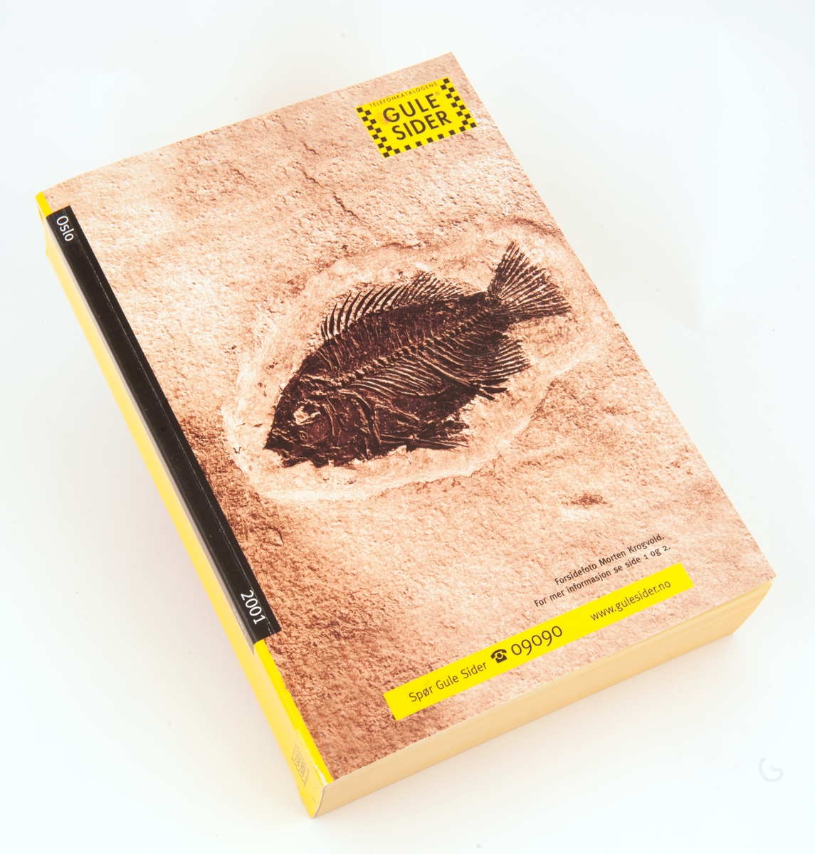 En telefonkatalog fra Oslo 2001. To kataloger for Gule sider fra 2001 og 2002.