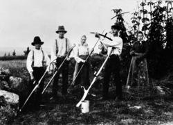 Syskonen Olsson i slôttanna:
Fr. v: Johan, August, Karin, Va