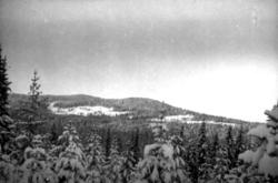 Snöklätt landskap från Bograngberget