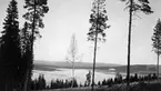 Sjön Letten uppdämd 1955 sedd från Bograngsbergets nordligaste del.