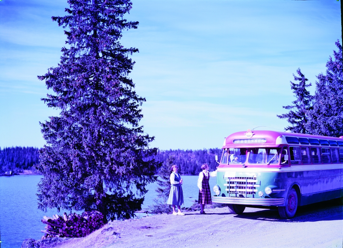 E-15635 Volvo B638 1954 mod. reg 08.03.54 med Larvik Karosseri var en staselig buss som vakte oppsikt.