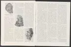 Stora Kopparbergets kronologi.

Ur Carl Sahlins bergshistoriska samling.