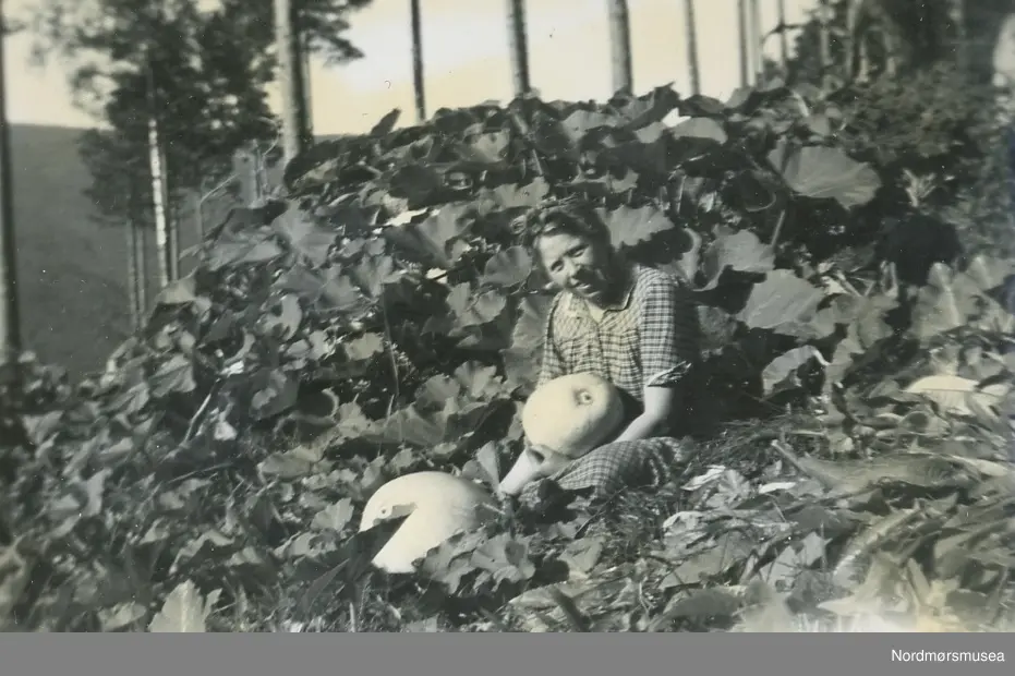 "Anne i greskarhaugen 19-9-53"