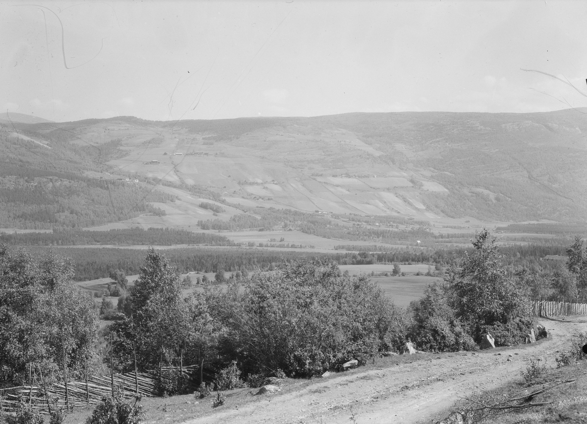 Nord-Fron. Utsiktsbilde mot Ruste og Lunde (Stor-Lunde). Grusveg med kantsteiner og skigard i forgrunnen.