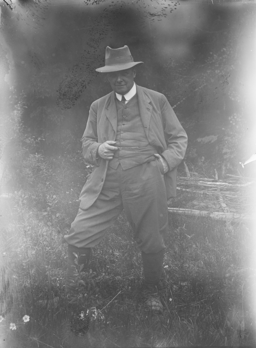 Størmer, Fredrik Carl Mülertz (1874 - 1957)