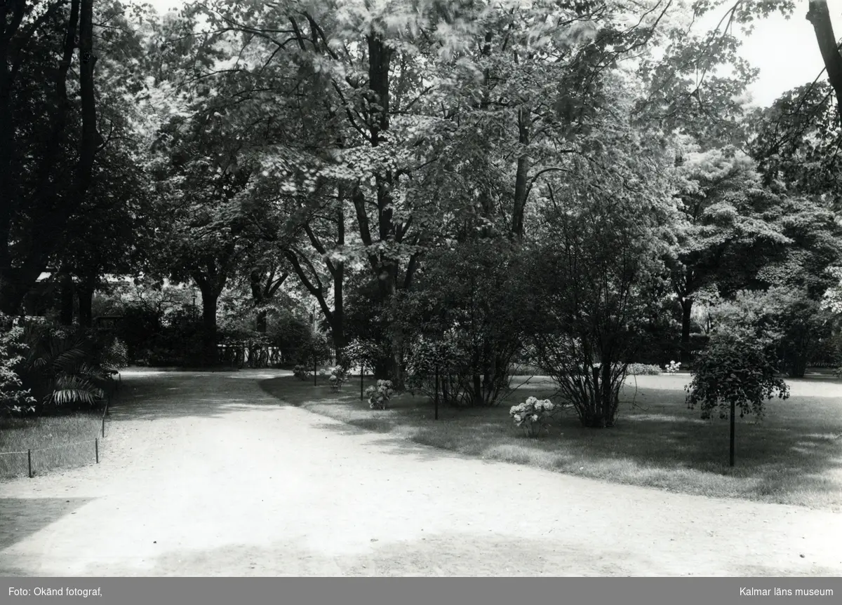 Tidningen Barometern diverse bilder. Stadsparken 1929.