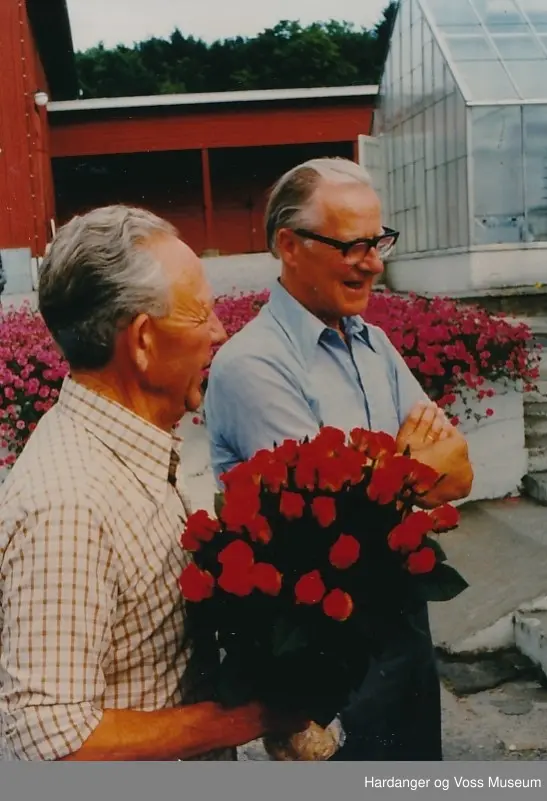 Veksthusa. NLH. Foto 1980