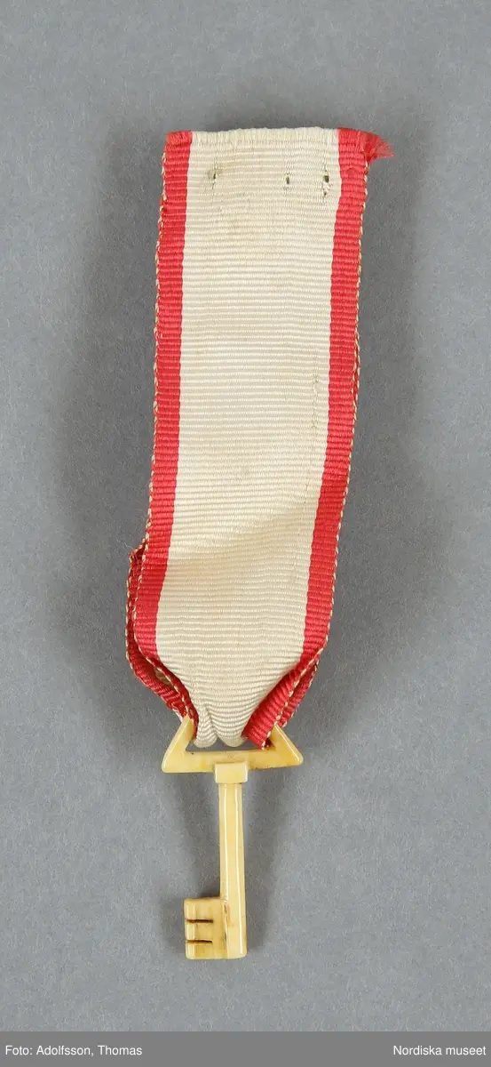 Föreningsmedlemstecken
