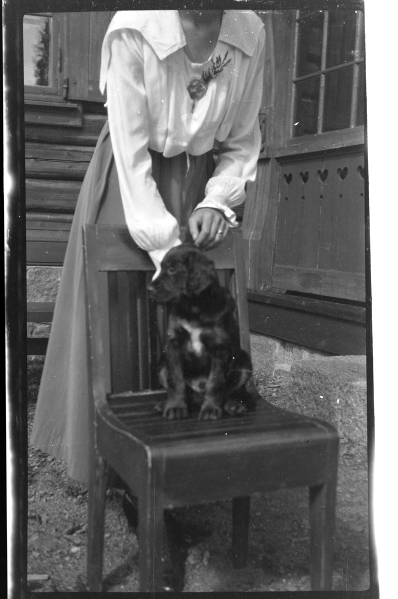 Hunden Rolla sitter på en stol, Hilda Sundt uten hode, Villa Knyggen. Fotografert 1918-1919.