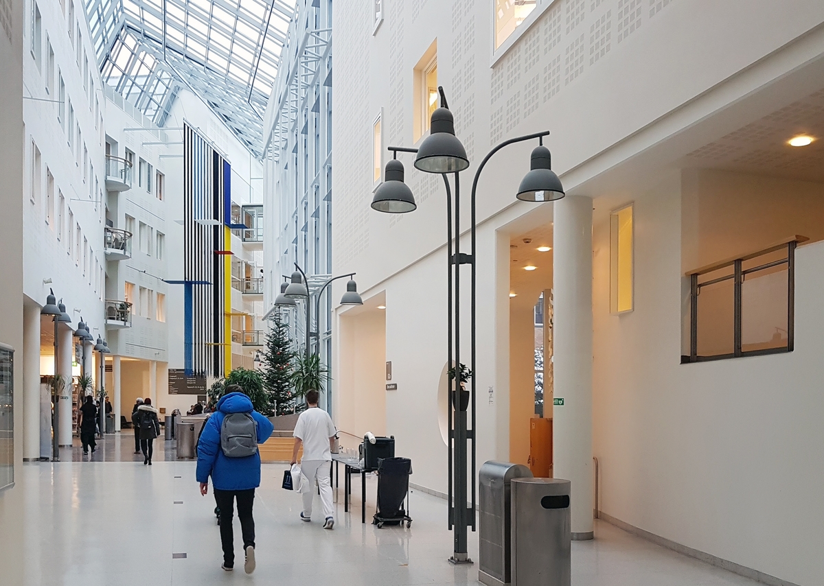 Vestibylen er det sentrale møtestedet og knutepunktet i sykehuset. Her mottas pasienter og besøkende, og ledes videre inn i sykehusets overordnede trafikksystem med glassoverdekte gater, plasser og torg. Et blikkfang i vestibylen er Gunvaldsens store, transparente tekstilarbeid "Balanse" som henger ned fra taket. Teppet er en aktiv aksent i rommet, det er i harmoni med arkitekturen, og det har spennende skiftninger i form og fargespill- alt etter hvilket utsiktspunkt betrakteren har. Verket er synlig fra lang avstand både fra sør og nord i glassgaten, og fungerer slik også som et kunstnerisk "skilt" og en markering av vestibyleområdet.