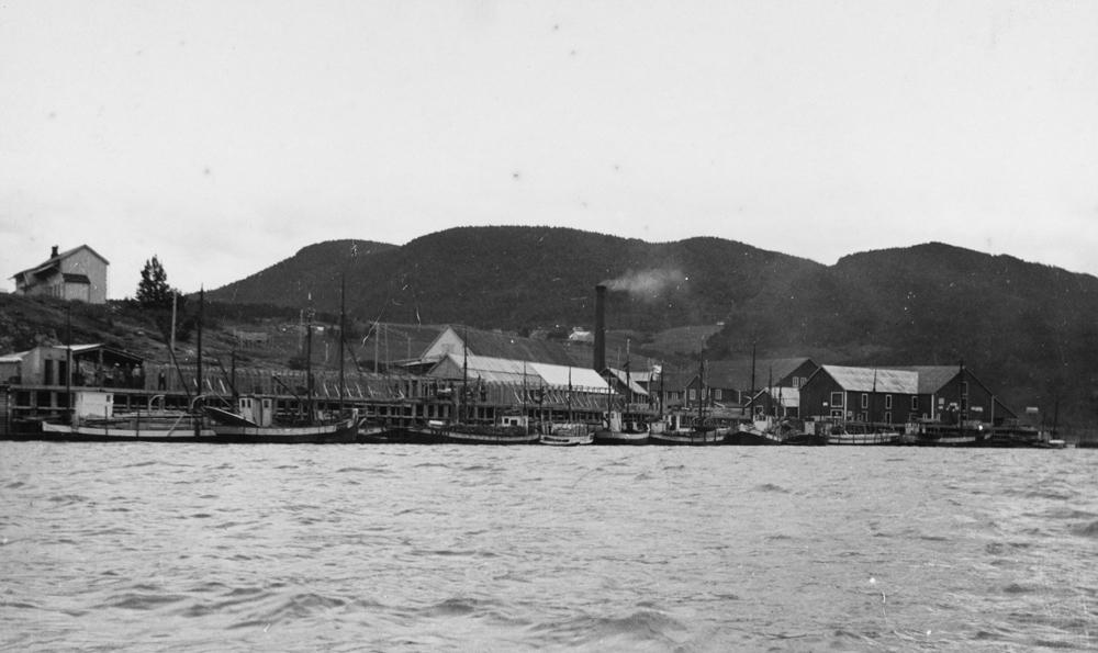 Kaia ved Nesbruket, Halsøykaia, juli 1933.
Mange båter ved kai.