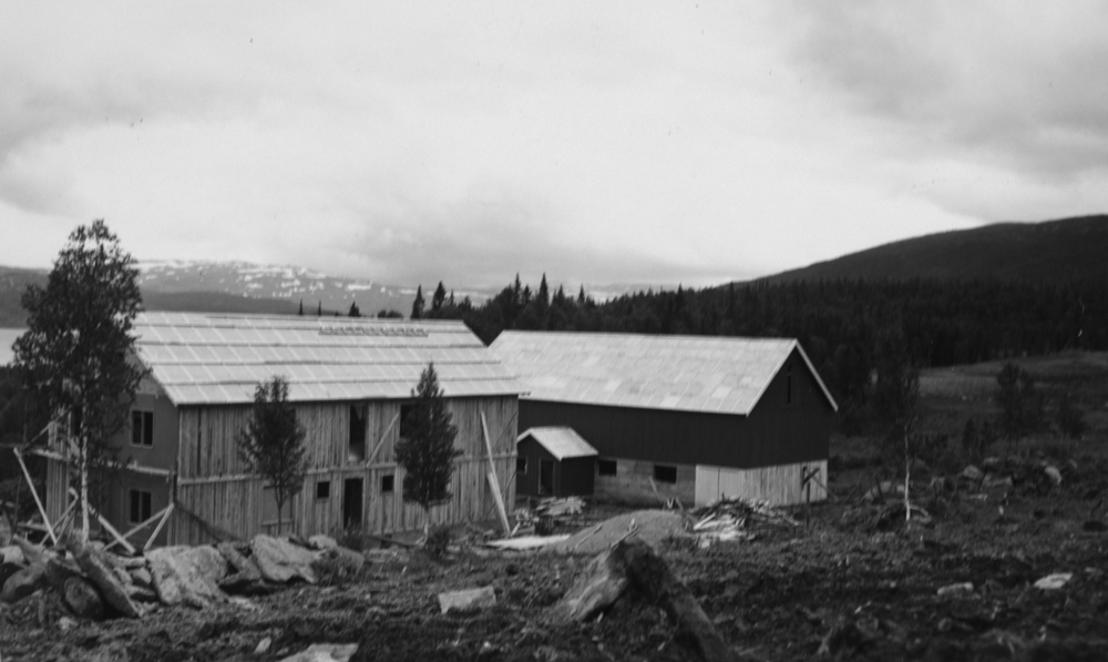 Tustervatn, Nygård etter oppdemming.