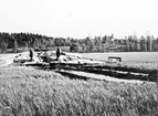 F6 Karlsborg 1943. Haveri på mossen Södra Mellången utanför Askersund vid nödlandning pga dimma. Planet voltade och besättningen drunknade. Under försöket att rädda besättningen blev planet helt sönderslaget. Vid själva nödlandningen hade inga större skador uppstått på planet. Albumet är en del av en donation från Karl-Axel Hansson, Karlsborg. Förteckning över hela donationen finns i albumet samt som Word-dokument.