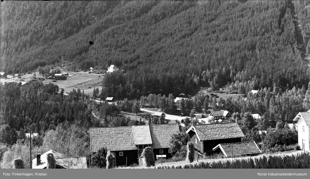 Utsikt over dal med dyrka mark og skog, fra ovenfor hesje.