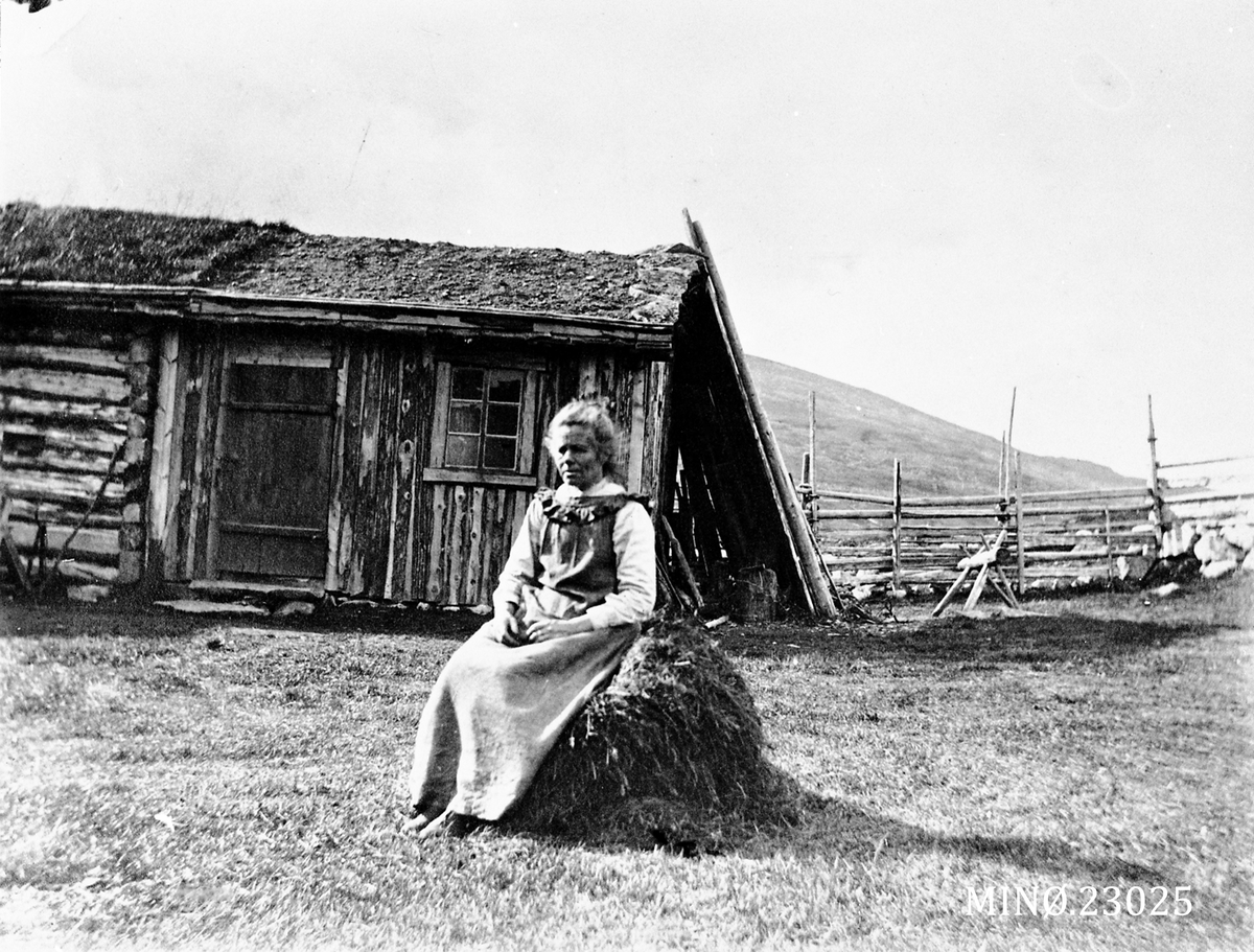 Sigrid Hårdnes f. 1853. På setra i Tegningdalen 1903