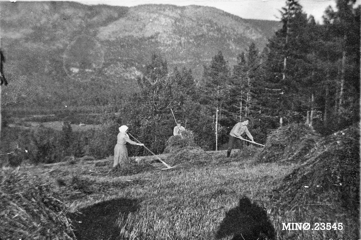 "Vinnå" i Syringa. 
Olava, Ole og Odd Nytrøen