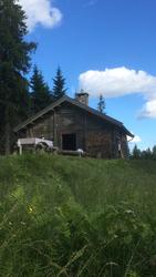 Størhus i Skålbergsætra