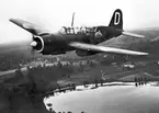 F6 Karlsborg 1945. Lätta bombplanet B17. Albumet är en del av en donation från Karl-Axel Hansson, Karlsborg. Förteckning över hela donationen finns i albumet samt som Word-dokument.