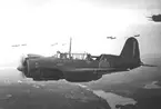 F6 Karlsborg 1945. Lätta bombplanet B17. Albumet är en del av en donation från Karl-Axel Hansson, Karlsborg. Förteckning över hela donationen finns i albumet samt som Word-dokument.