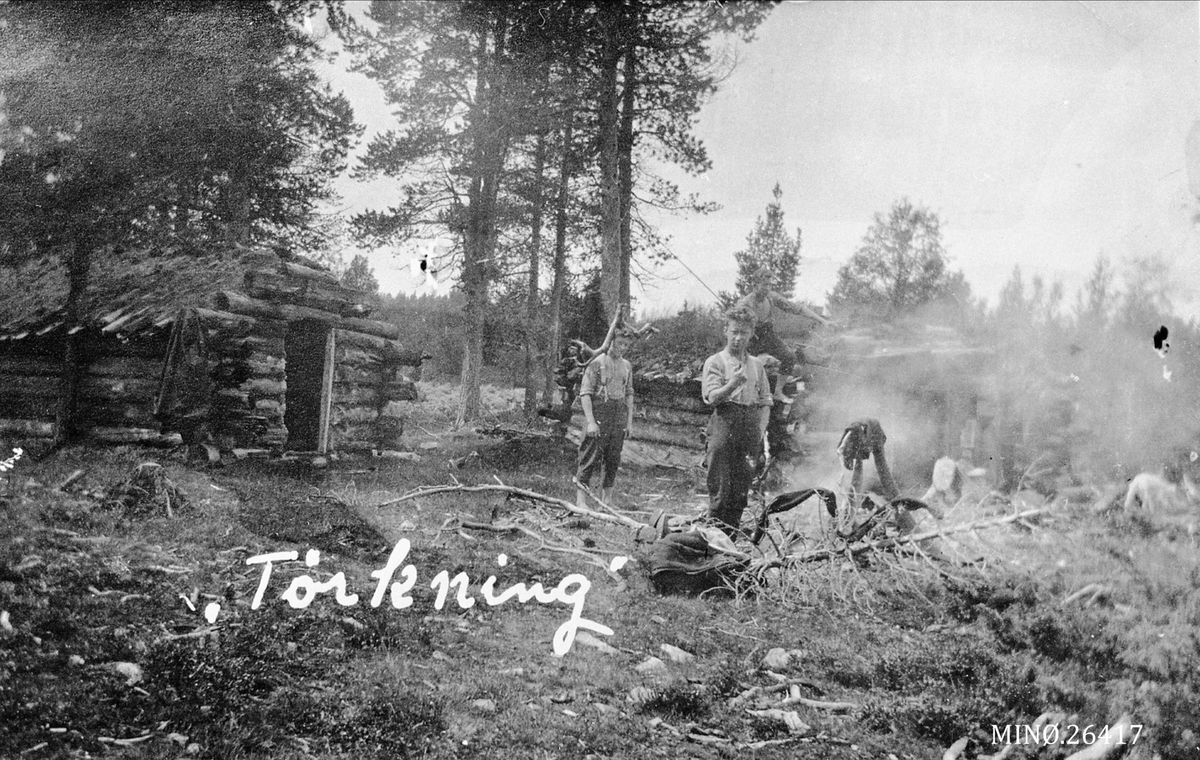 "Tørkning". Skogskarer rundt røke