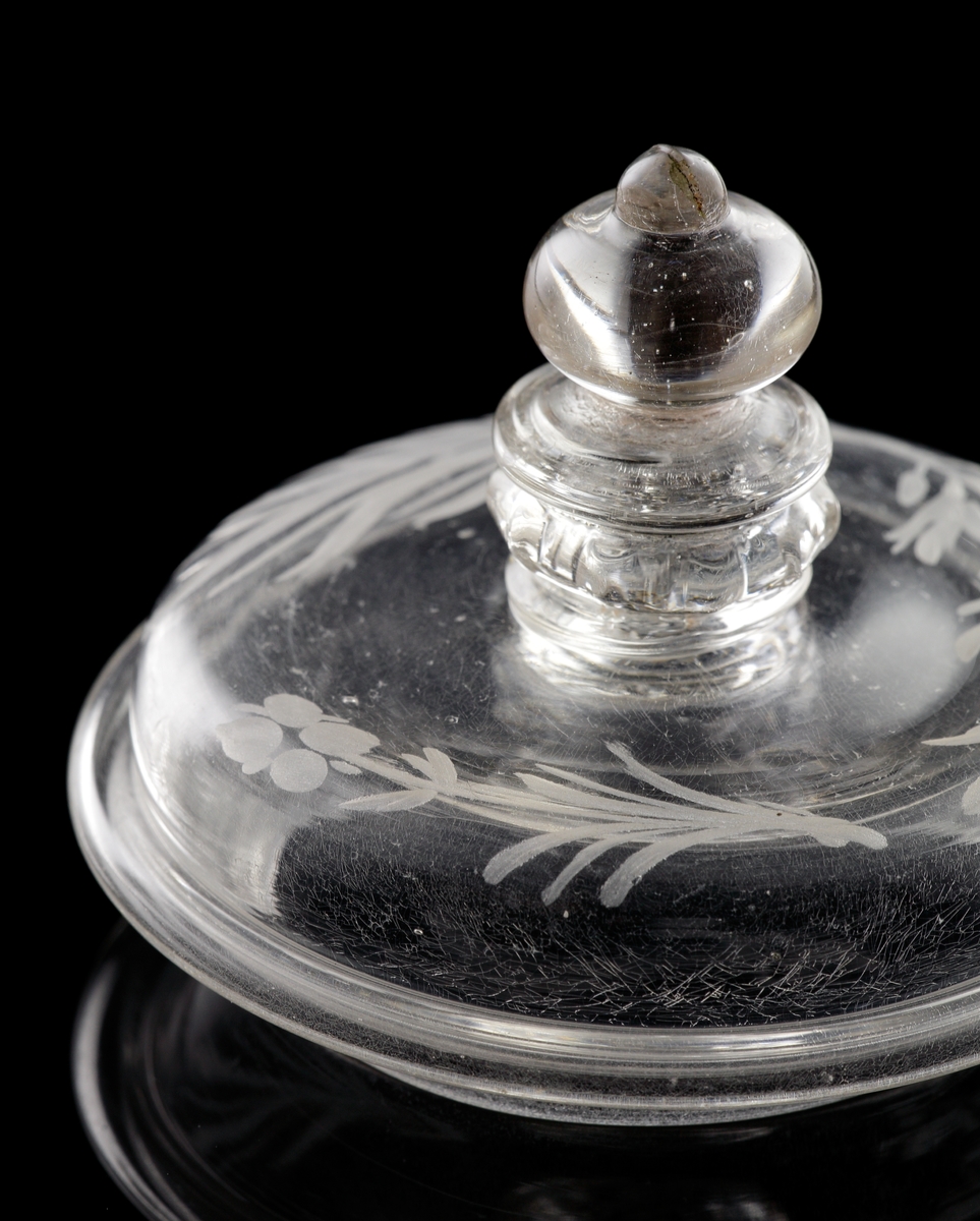 Pokal med lock i venetiansk stil. 
Graverat mönster i form av ett stående lejon m.m.. Text: "Jag Lefwer för mei Sjelfwer". 
Invikt kant på foten.