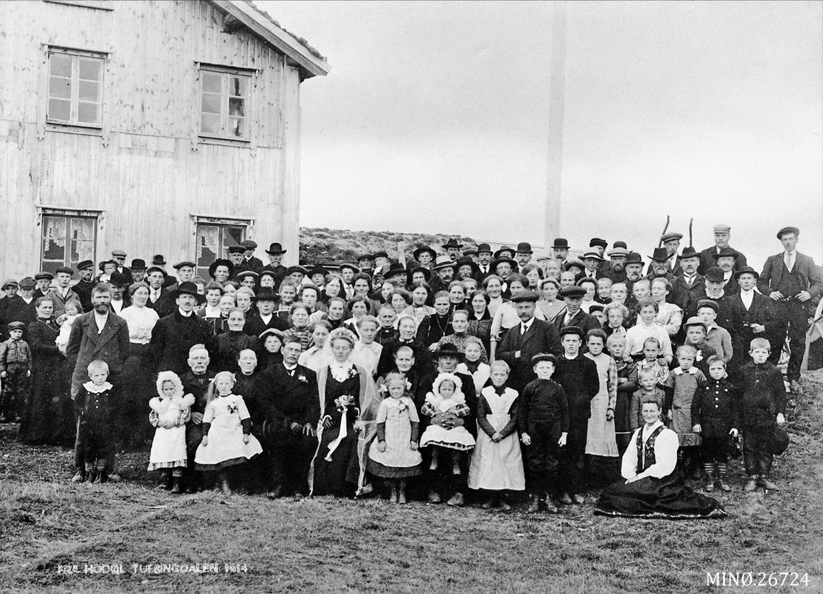 Gruppebilde, Bryllup. Hodøl.