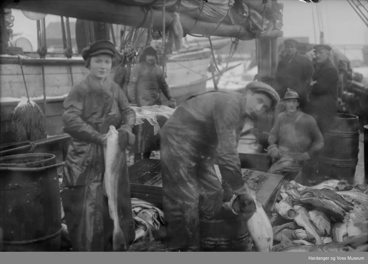 Sløying av fisk ombord i S/K "Vallevik"