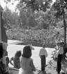 Furuvik

Furuviksparken invigdes pingstdagen 1936.
Folkdanslaget Furuviks Ungdomslag och Barnkabarén blev Furuviksbarnen.