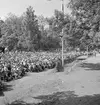 Furuvik

Furuviksparken invigdes pingstdagen 1936.
Folkdanslaget Furuviks Ungdomslag och Barnkabarén blev Furuviksbarnen.

Det är fullsatt under föreställningen