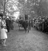 Furuviksparken invigdes pingstdagen 1936.

Folkdanslaget Furuviks Ungdomslag och Barnkabarén blev Furuviksbarnen