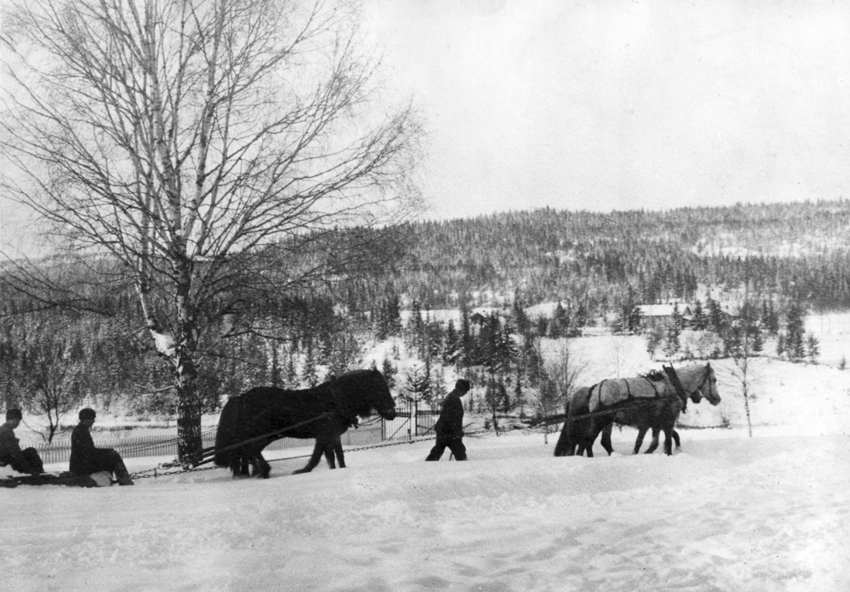 Snøplogkjøring på Sand ca. 1906. I bakgrunnen Syverstua (t.v.) og Sagstua skole.