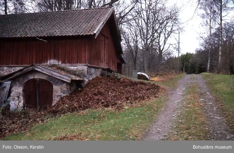 Text på kortet: "Holma Ek. Byggnad med stenbislag. Nov -86".