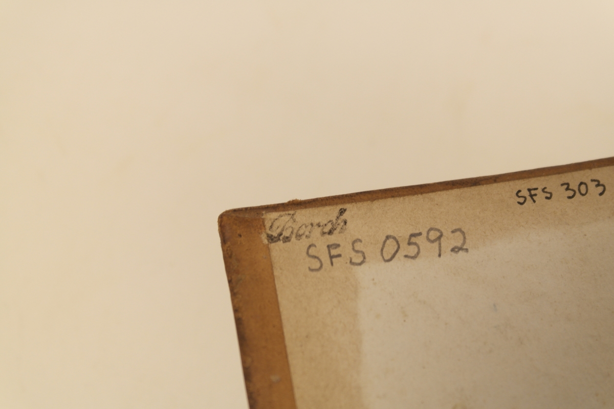 Bok i brunt skinn helbind, med trykte gullbokstaver på ryggen. Stempel trykket på forsiden.