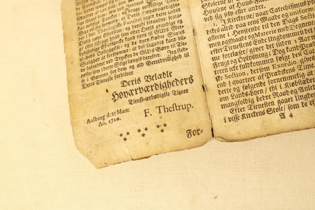 Bok innbundet i svart skinn. Gotisk skrift. Innledningen er datert og undertegnet F. Thestrup. Den sannsynlige tittelen står lenger inne i boka.