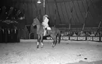 Altenburgs Cirkus

20 Juli 1945