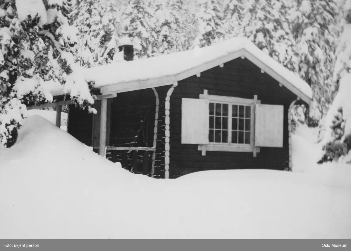 hytte, snø, skog