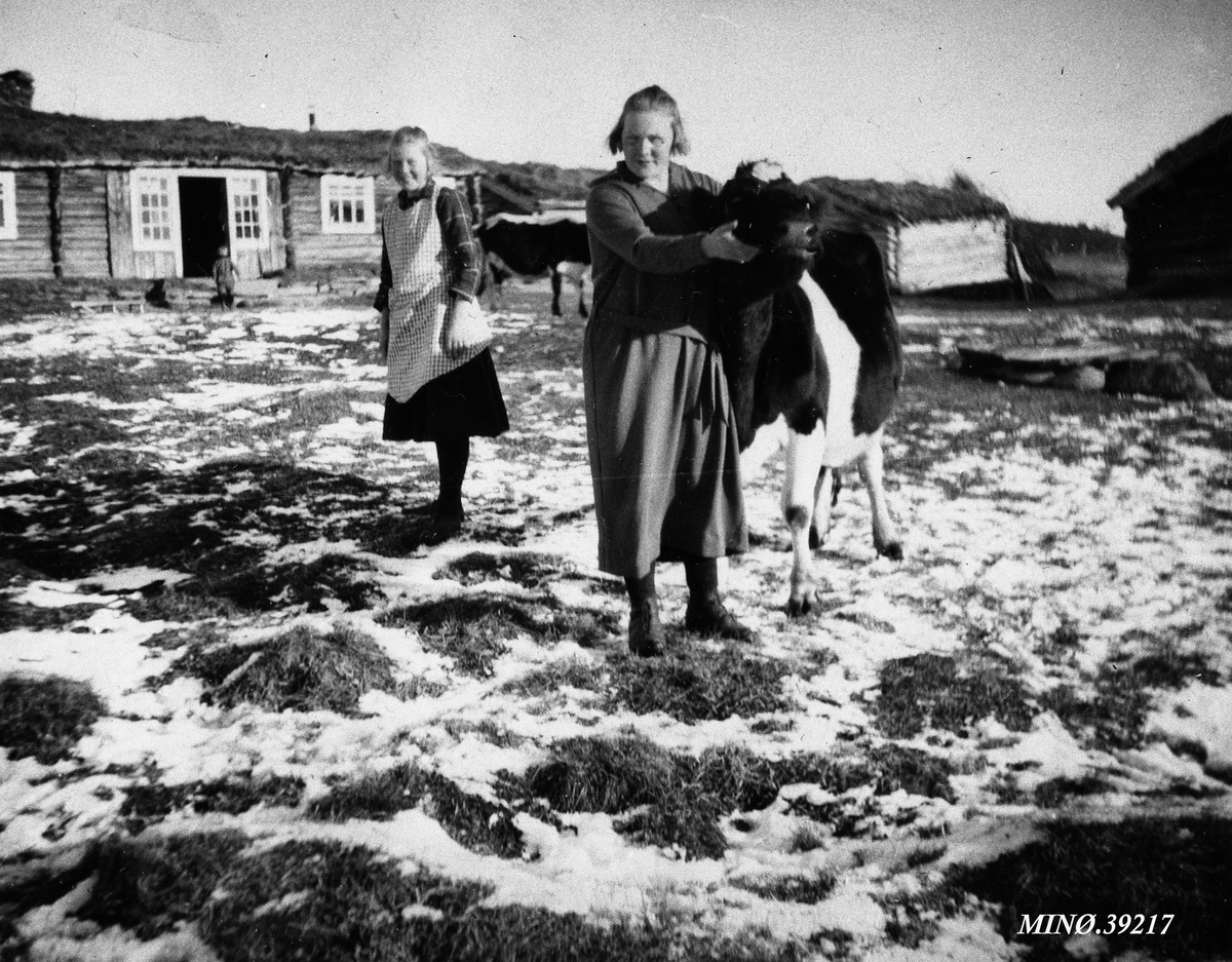 Sigrid og Mari Barstad med ku på setervollen.