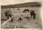 Marsch till fots , rast med hästar 1920-tal