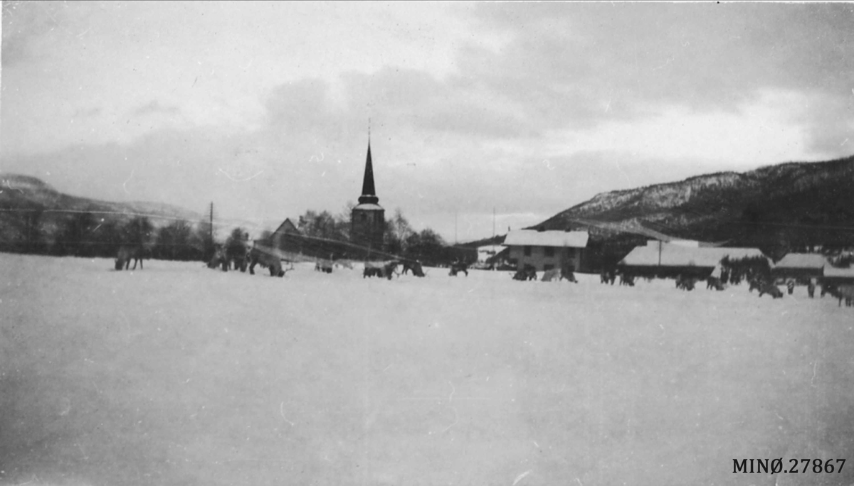 Rein fra Valdres, Rendalen. 