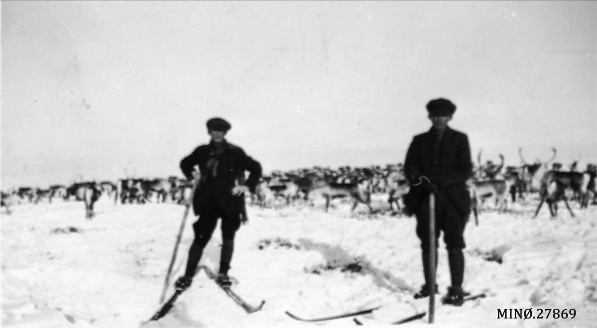 Rein fra Valdres, Rendalen. Gjetere en fra Valdres og samen Kant. 