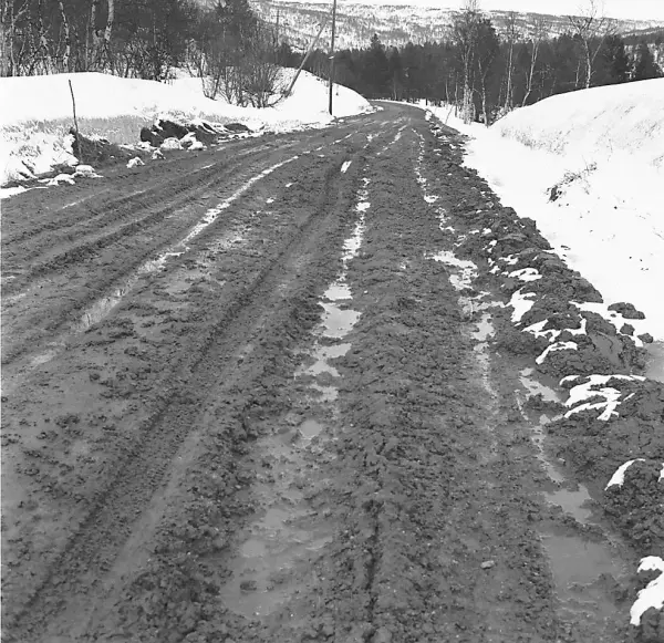 veg i oppløsning våren