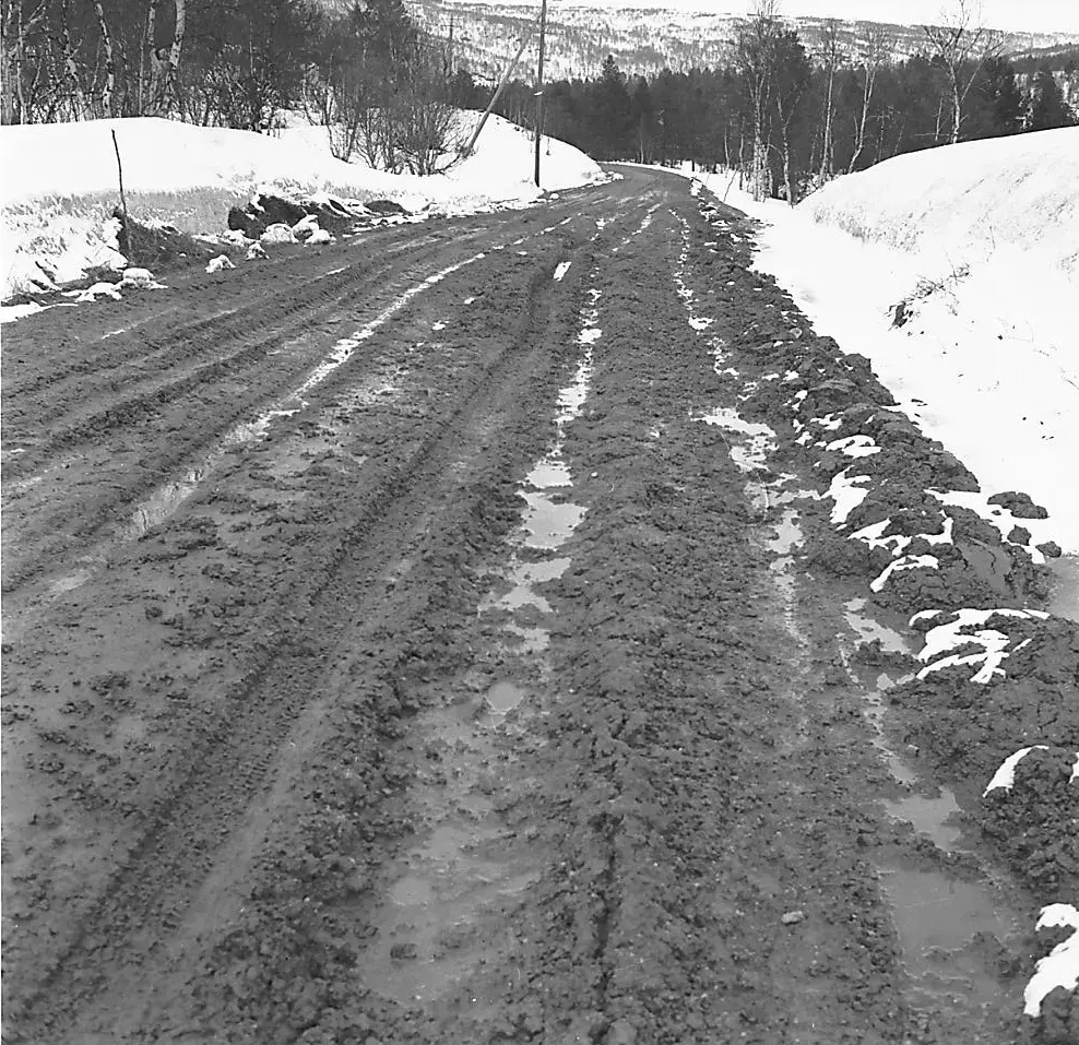 veg i oppløsning våren